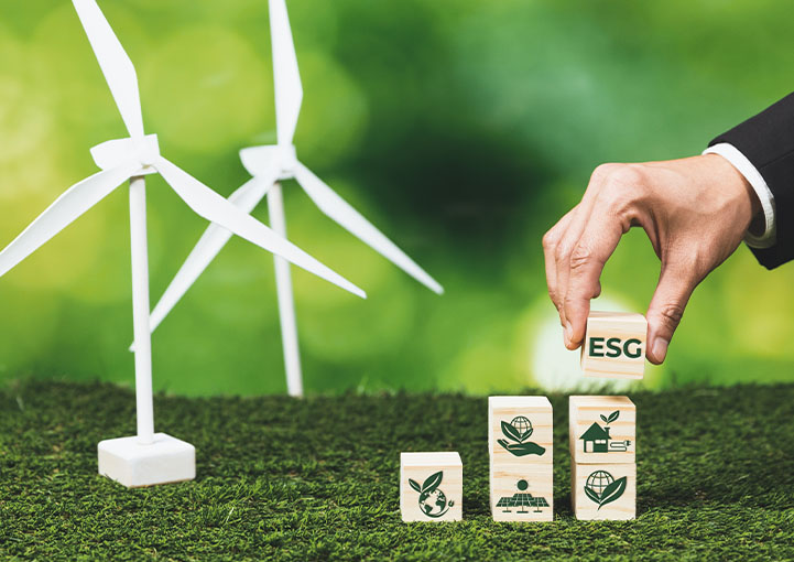 Устойчивое развитие