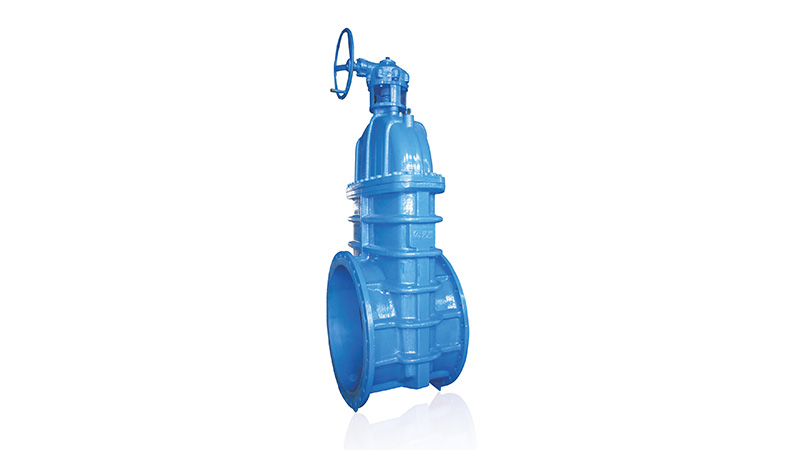 Flanged Worm Gear Gate Valve