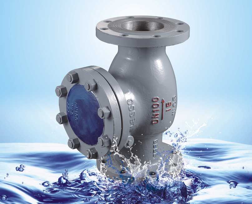 Flange swing type check valves